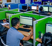 office employees working at their cubicles