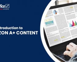 Your Introduction to Amazon - Blog Thumbnail